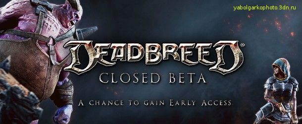 Получаем бесплатно игру Deadbreed [Steam]